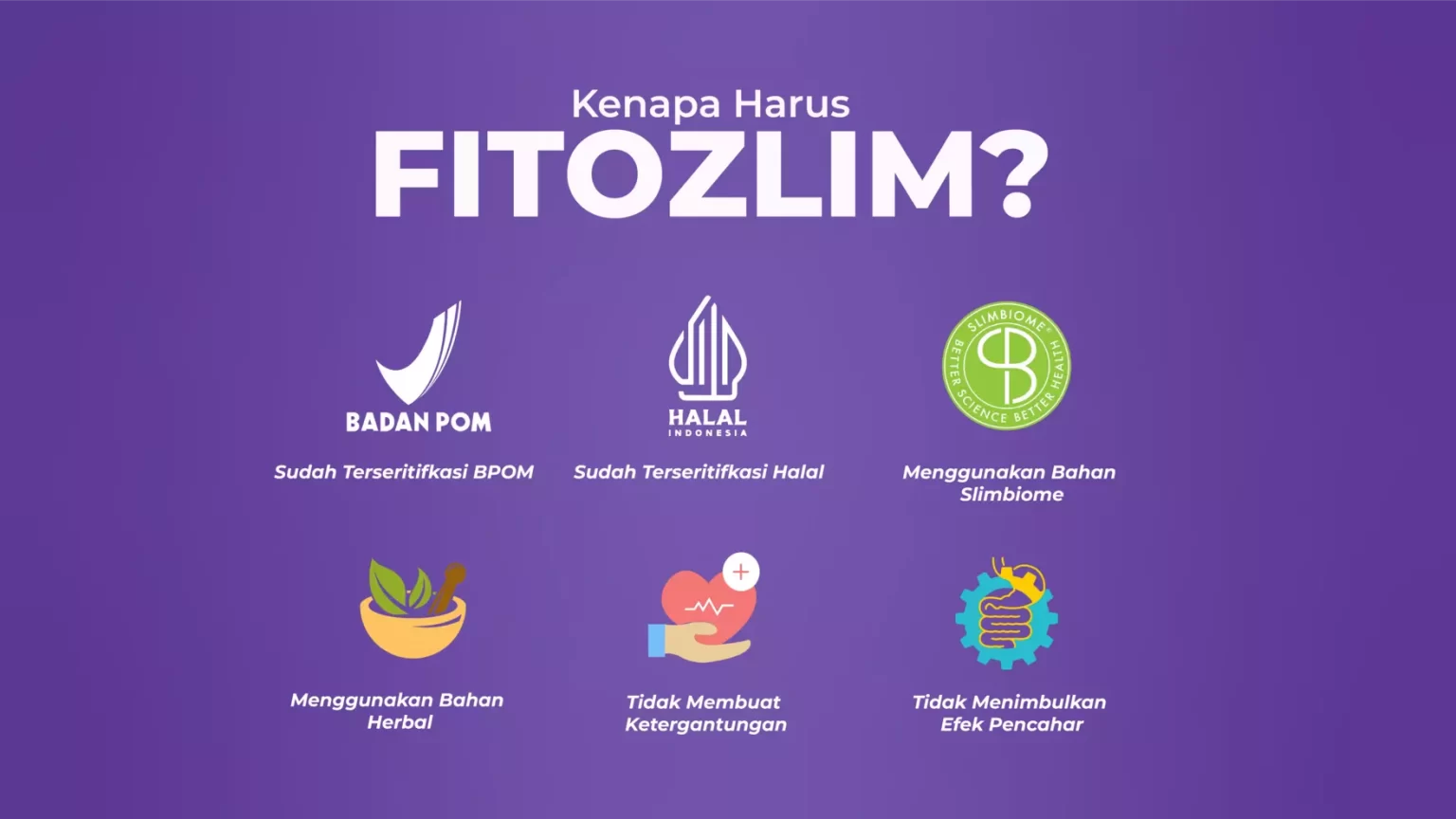 kenapa harus fitozlim 13